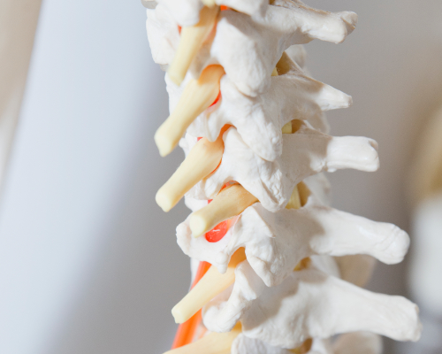 Back pain and neck pain